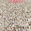 咸宁黄金麻中黄荔枝面