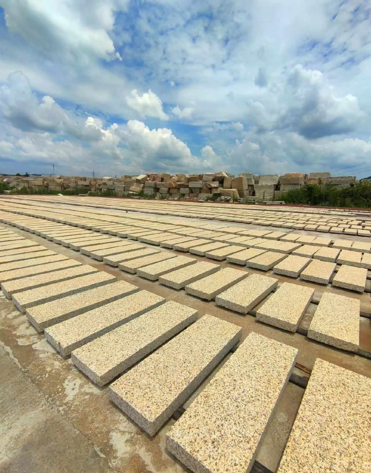 咸宁 黄金麻荔枝面花岗岩石材地铺石防护中