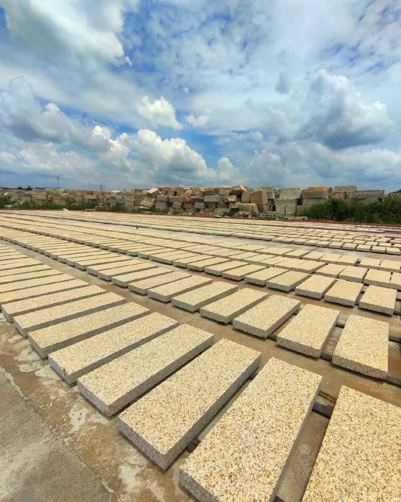 咸宁 黄金麻花岗岩荔枝面地铺石防护中