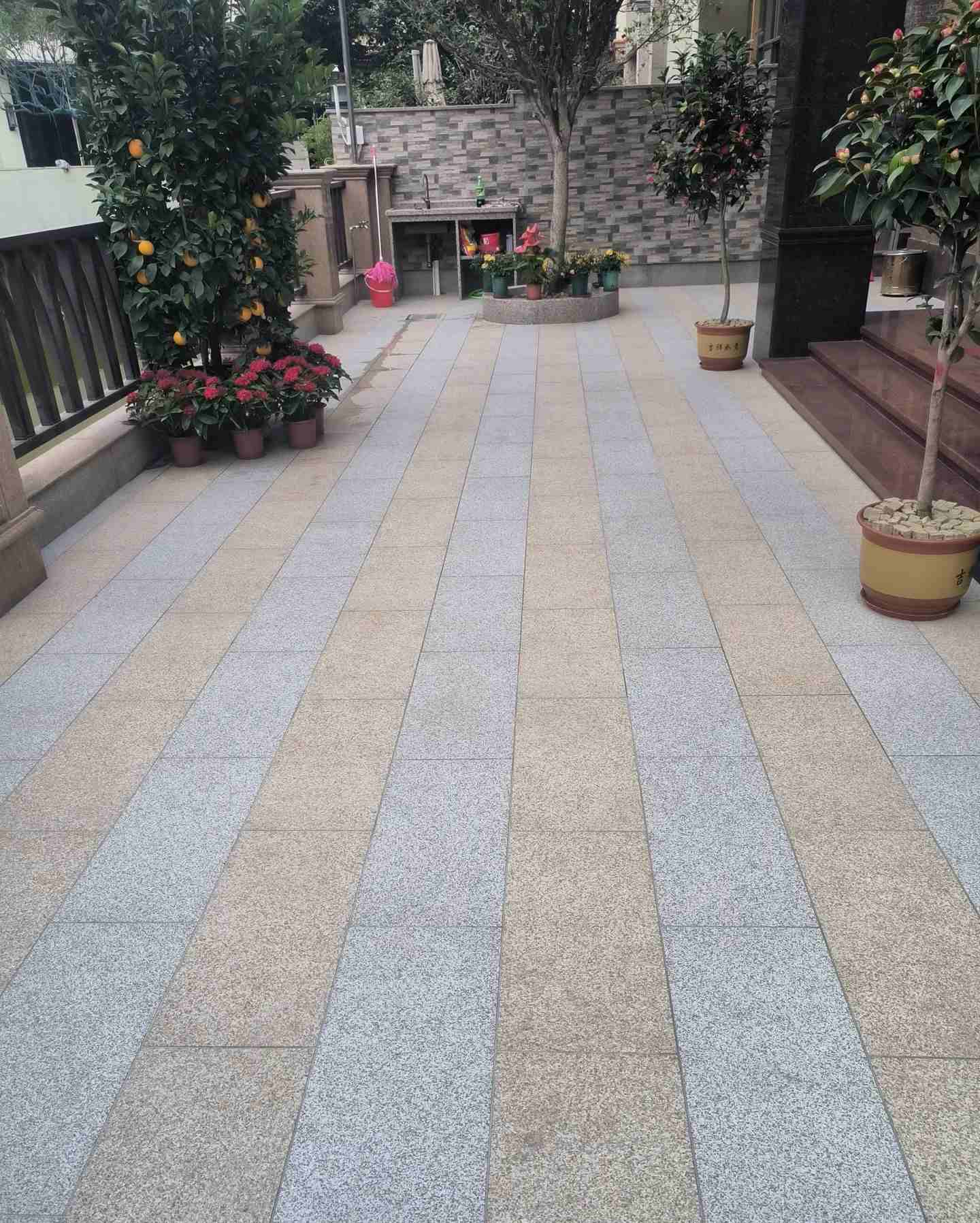 咸宁 黄金麻白麻荔枝面庭院铺装展示